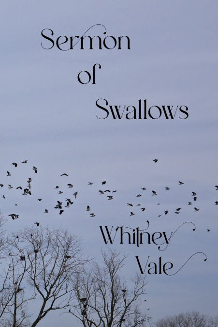 Sermon of Swallows