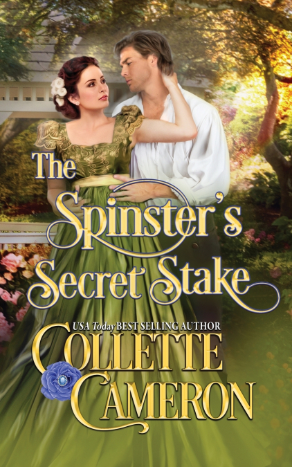 The Spinster’s Secret Stake