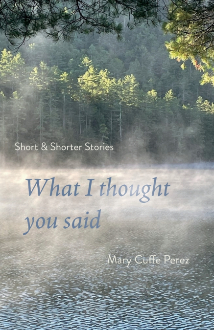 What I Thought You Said