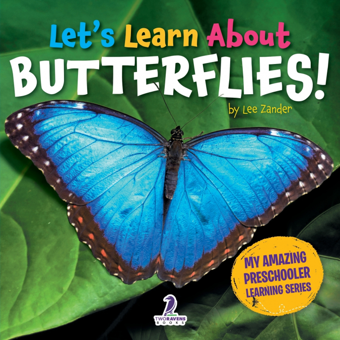 Let’s Learn About Butterflies!