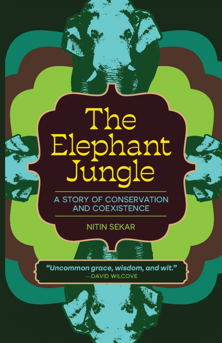 The Elephant Jungle