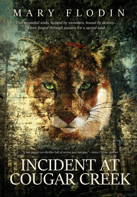 Incident at Cougar Creek