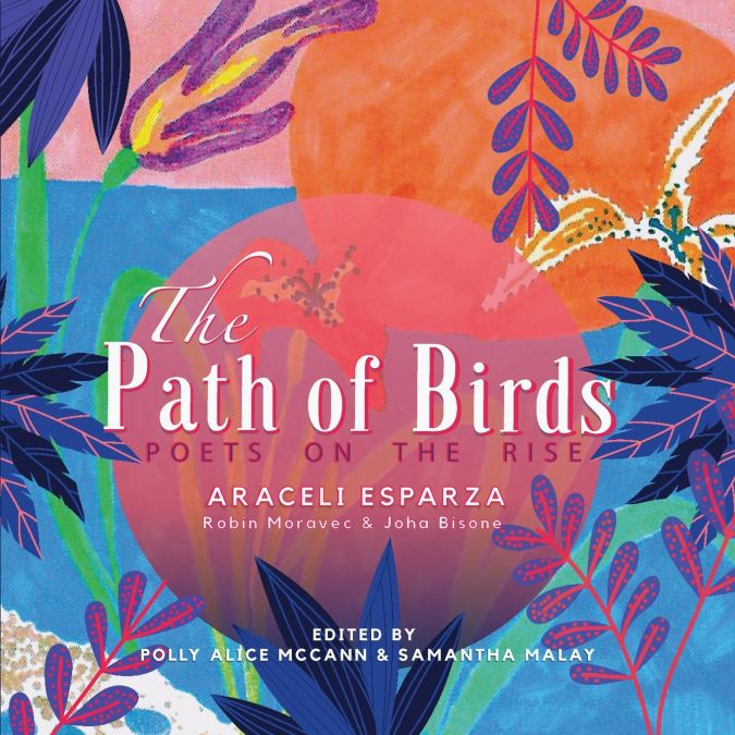 The Path of Birds