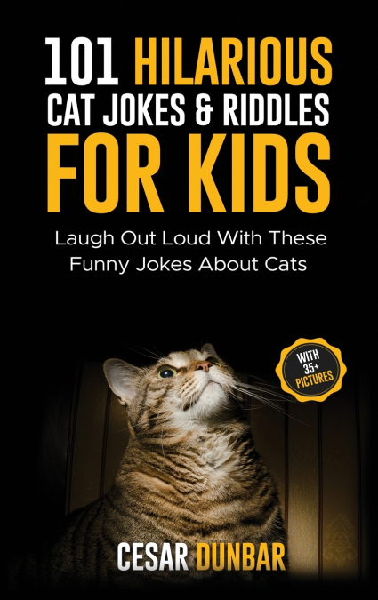 101 Hilarious Cat Jokes & Riddles For Kids