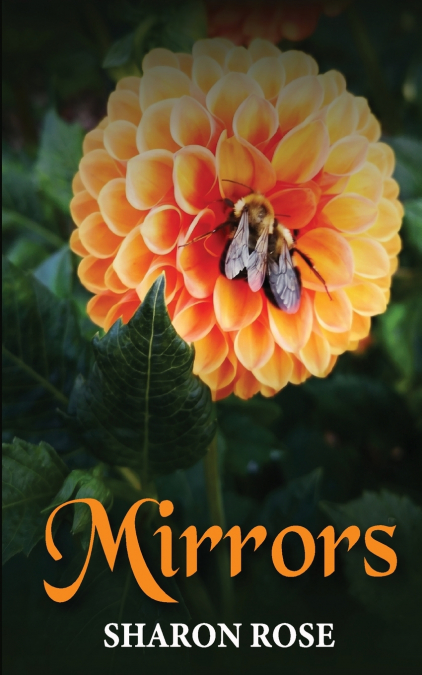 Mirrors