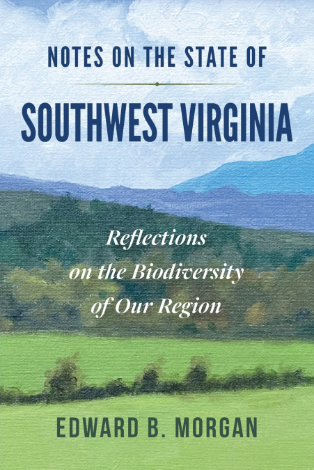 Notes on The State of Southwest Virginia