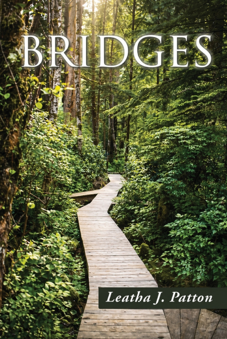 Bridges