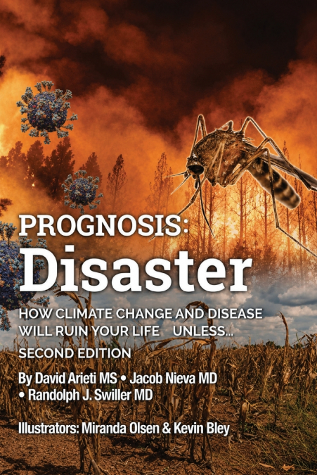 Prognosis Disaster