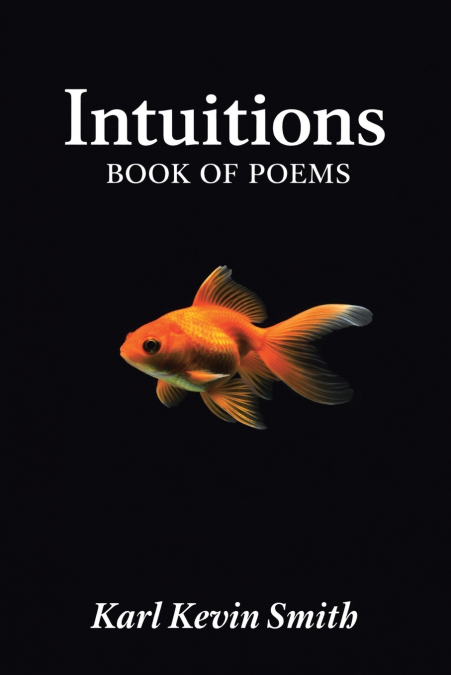 Intuitions
