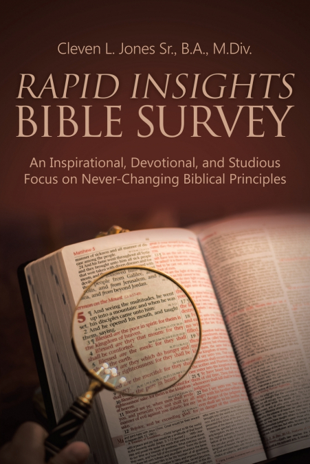Rapid Insights Bible Survey