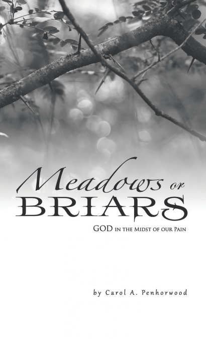 Meadows or Briars