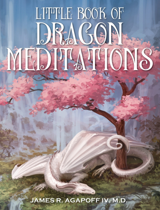 Little Book of Dragon Meditations