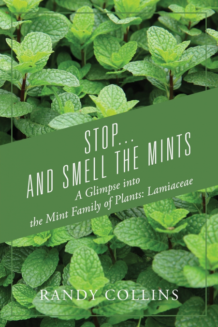 Stop...and Smell the Mints