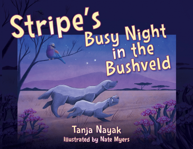 Stripe’s Busy Night in the Bushveld