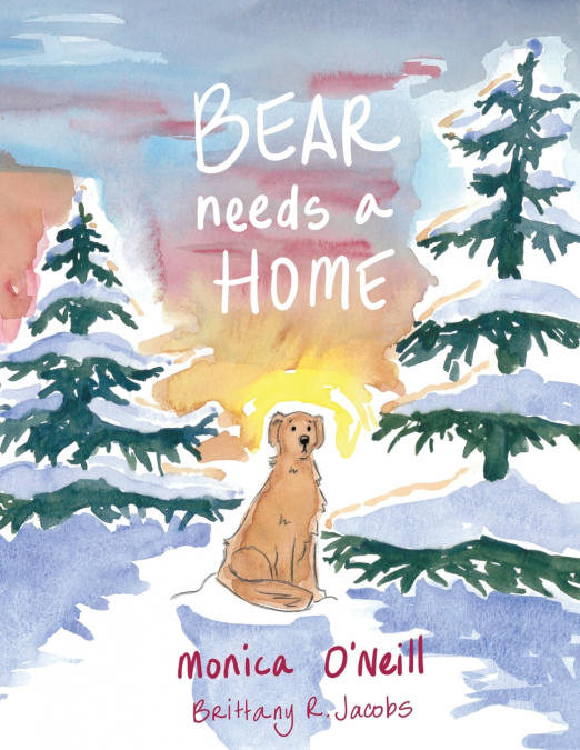 Bear Needs A Home