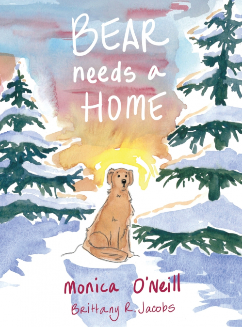 Bear Needs A Home