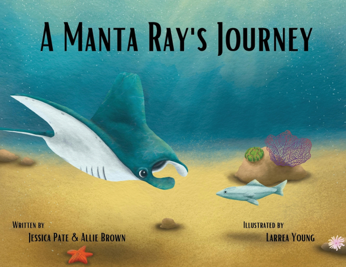 A Manta Ray’s Journey