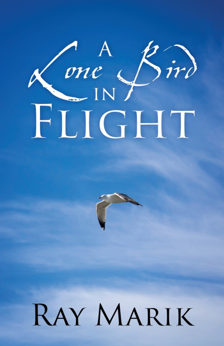 A Lone Bird in Flight