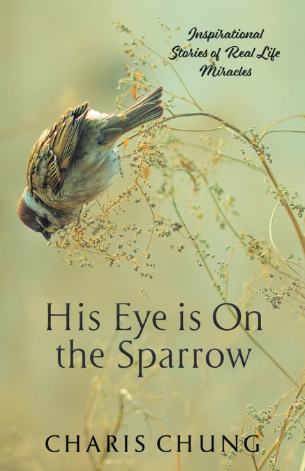 His Eye Is on the Sparrow