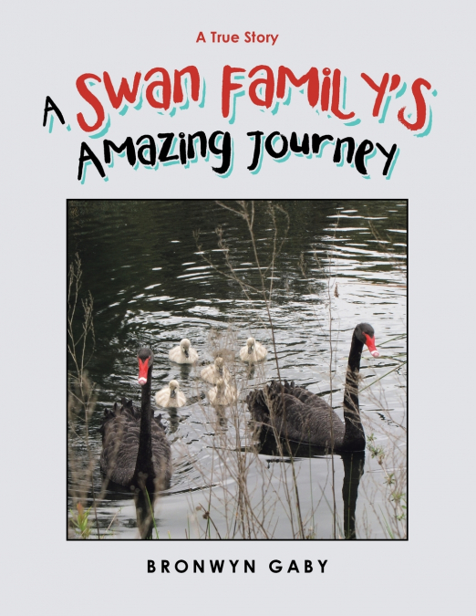A Swan Family’s Amazing Journey