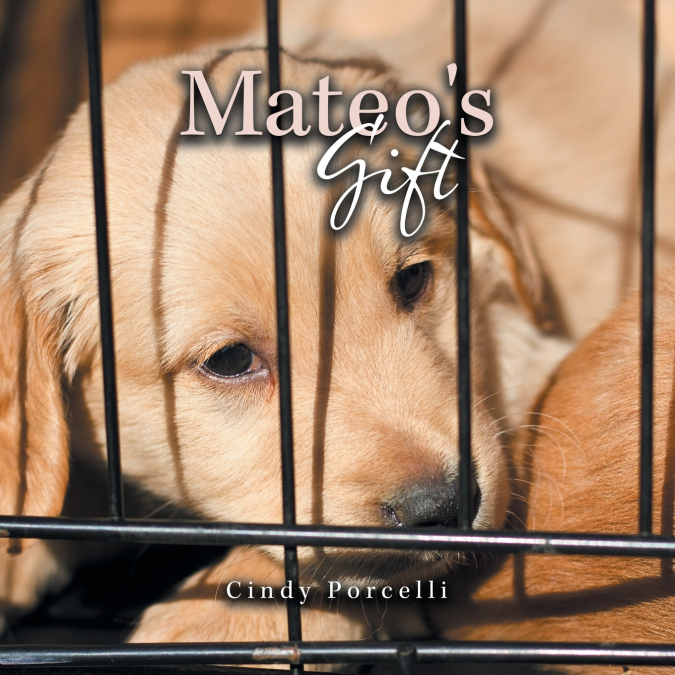 Mateo’s Gift