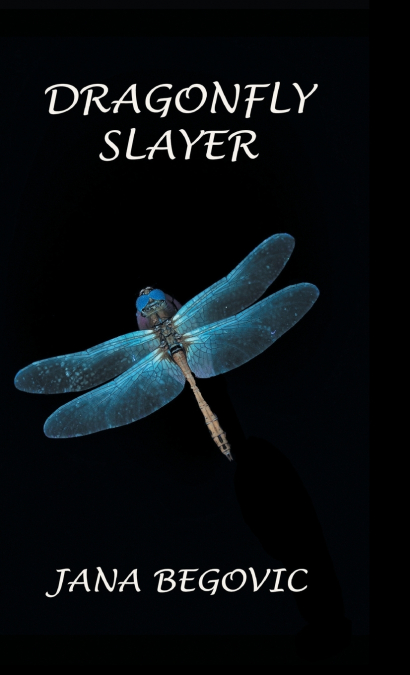 Dragonfly Slayer