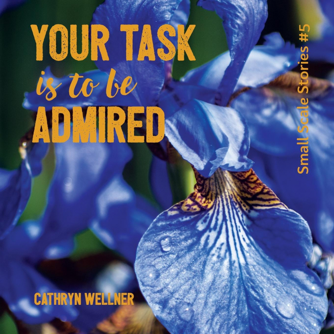 Your Task Is To Be Admired