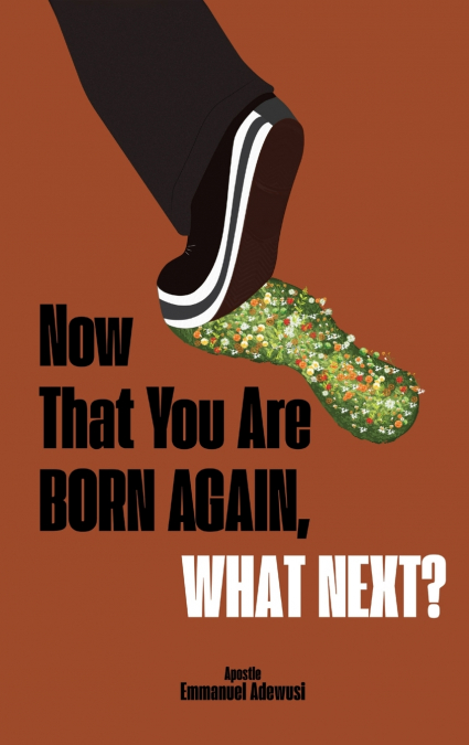 Now That You Are Born Again, What Next?