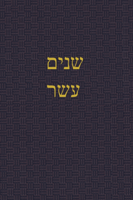 The Book of the Twelve