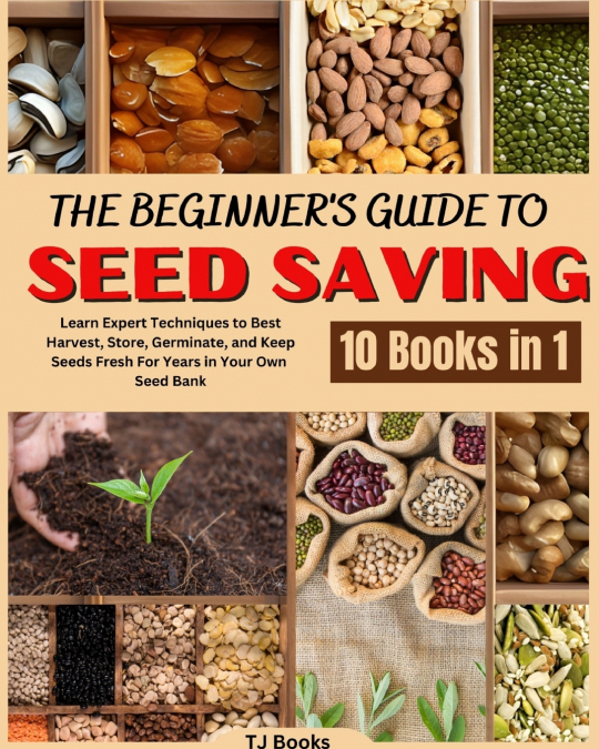 The Beginner’s Guide to Seed Saving