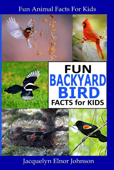 Fun Backyard Bird Facts for Kids