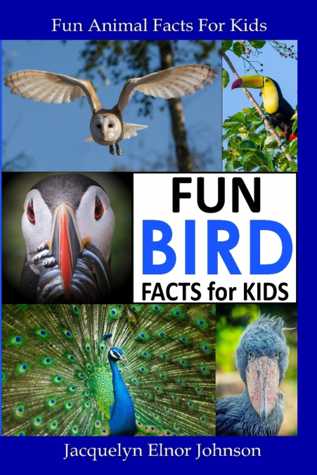 Fun Bird Facts for Kids