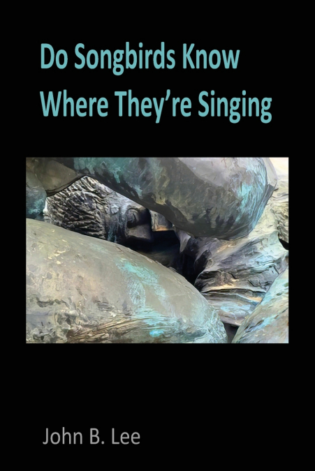 Do Songbirds Know Where They’re Singing