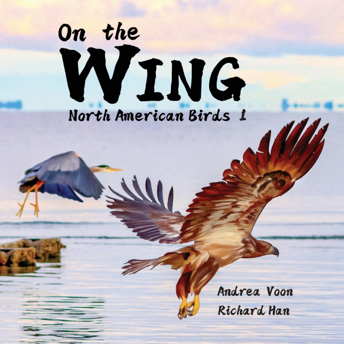 On the Wing - North American Birds 1
