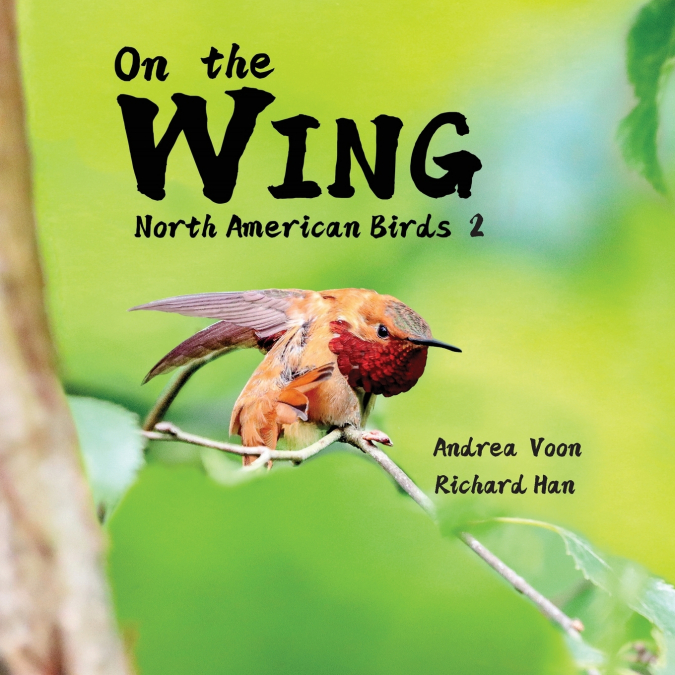 On the Wing - North American Birds 2