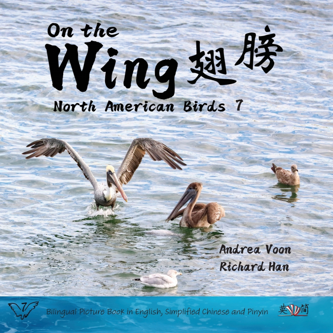 On the Wing 翅膀 - North American Birds 7