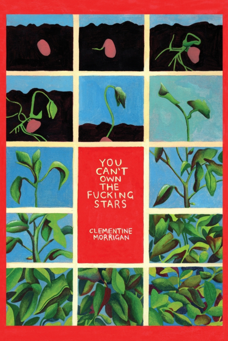 You Can’t Own the Fucking Stars