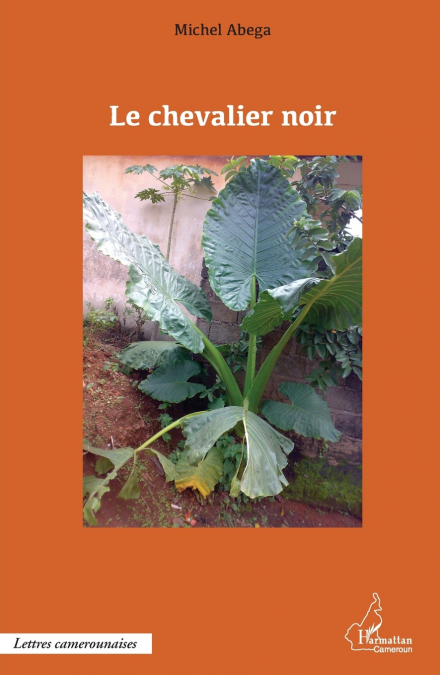 Le chevalier noir