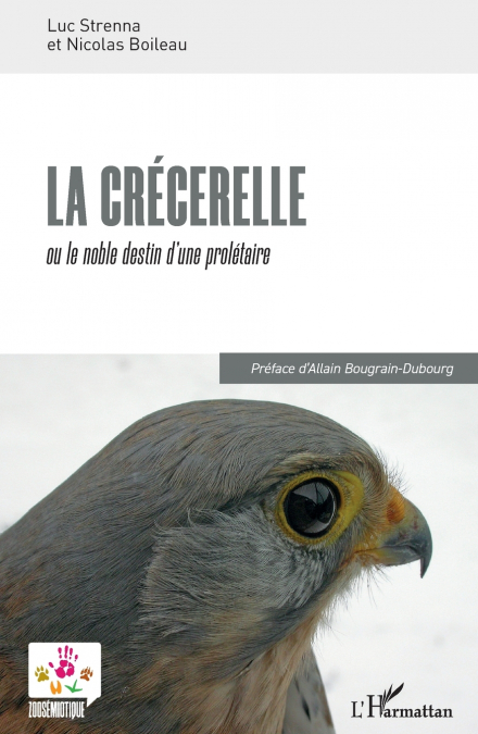 La crécerelle
