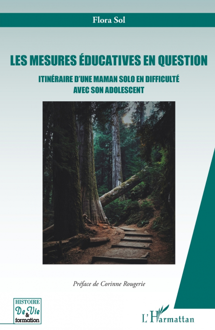 Les mesures éducatives en question