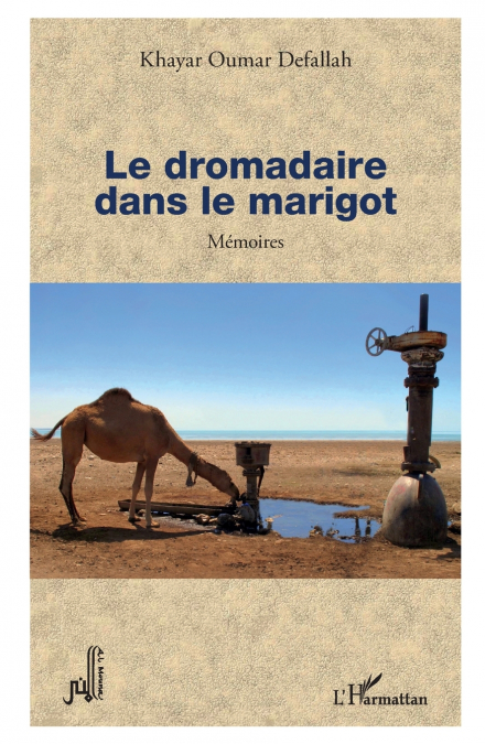 Le dromadaire dans le marigot