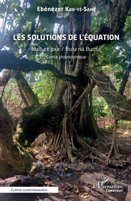 Les solutions de l’équation