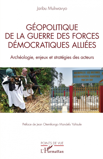 Géopolitique de la guerre des Forces Démocratiques Alliées