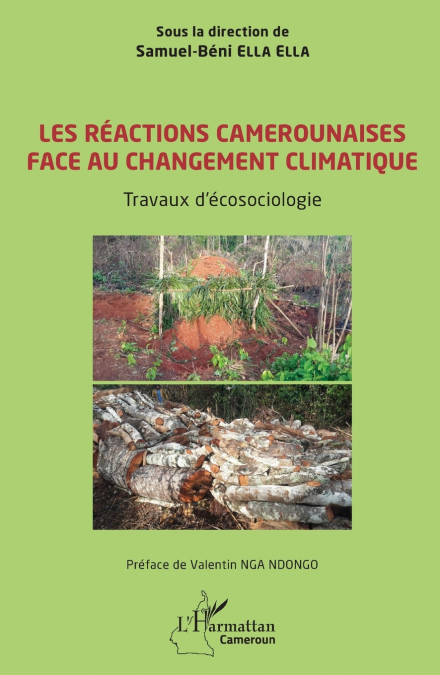 Les réactions camerounaises face au changement climatique