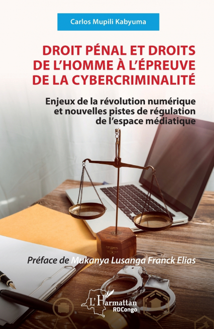 Droit pénal et droits de l’homme à l’épreuve de la cybercriminalité