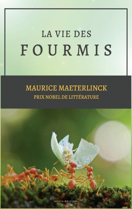 La vie des Fourmis