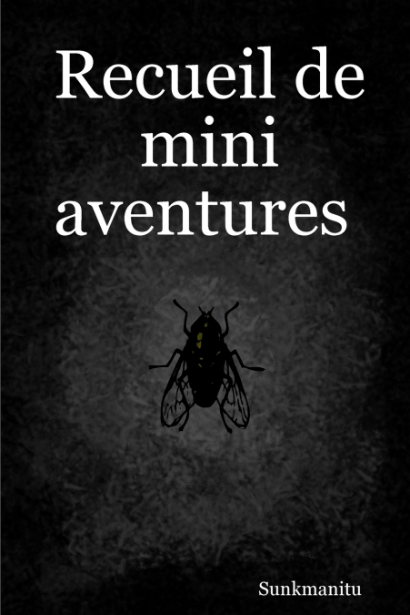 Recueil de mini aventures