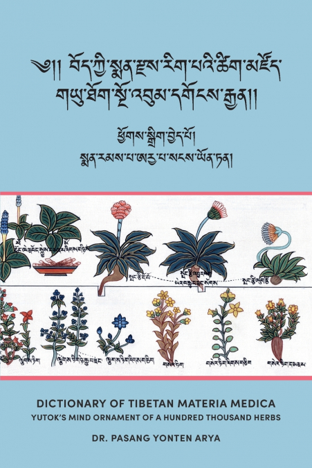 Dictionary of Tibetan Materia Medica (Bod kyi sman rdzas rig pa’i tshig mdzod)