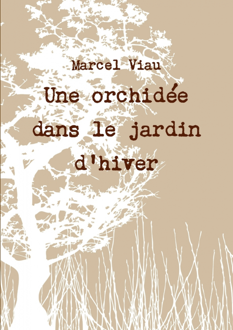 Une orchidée dans le jardin d’hiver