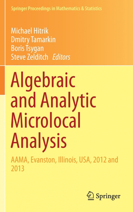 Algebraic and Analytic Microlocal Analysis